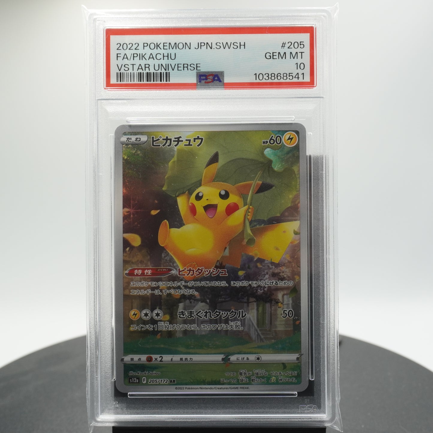 PSA 10 Pikachu Alternate Full Art 205/172 AR S12a VSTAR Universe Pokemon Card TCG Japanese