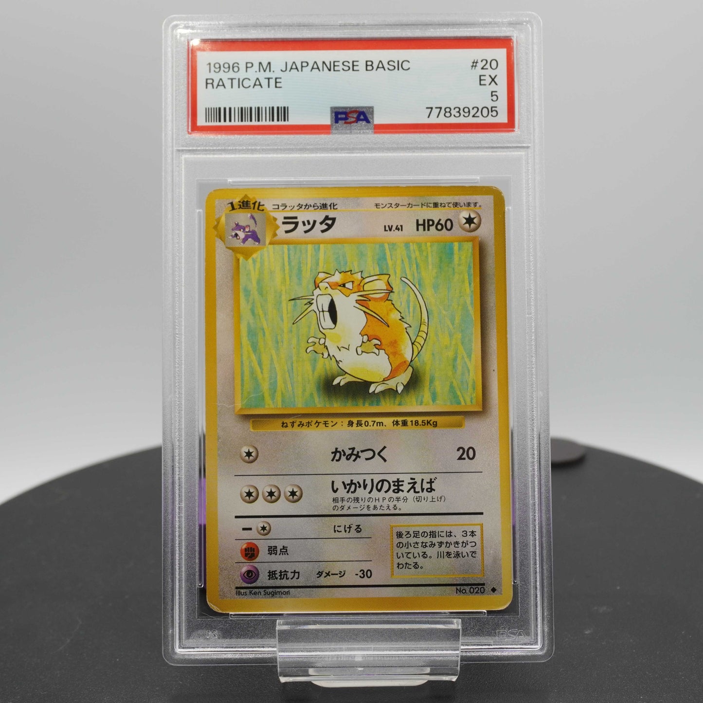 PSA 5 Raticate Expansion Pack Pokemon TCG Japanese EX 1996
