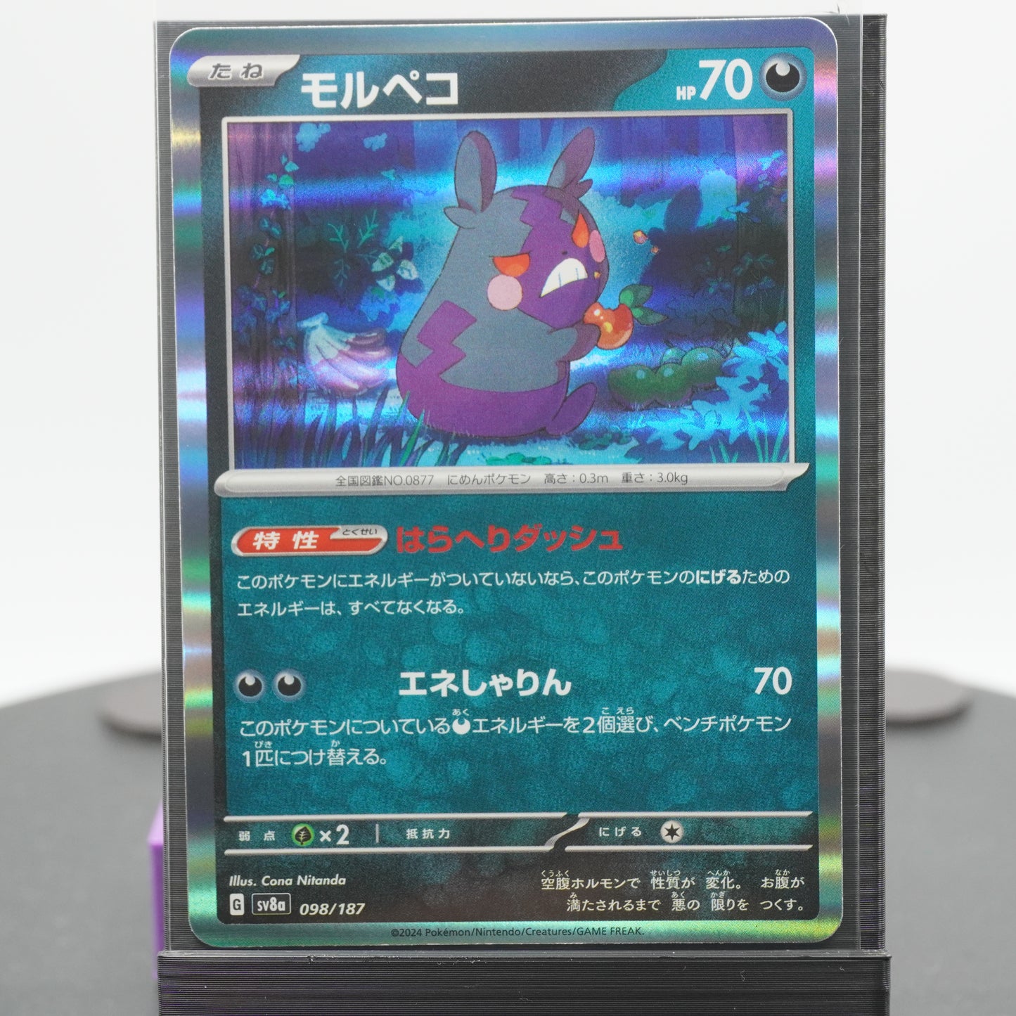 Morpeko Reverse Holo 098/187 SV8a Terastal Festival EX Pokemon Card TCG Japanese