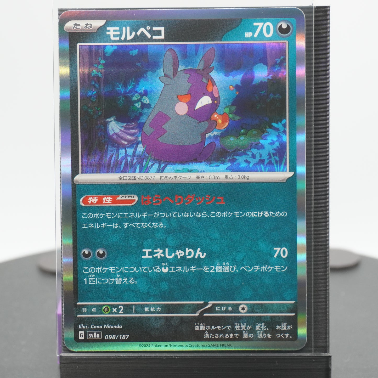 Morpeko Reverse Holo 098/187 SV8a Terastal Festival EX Pokemon Card TCG Japanese