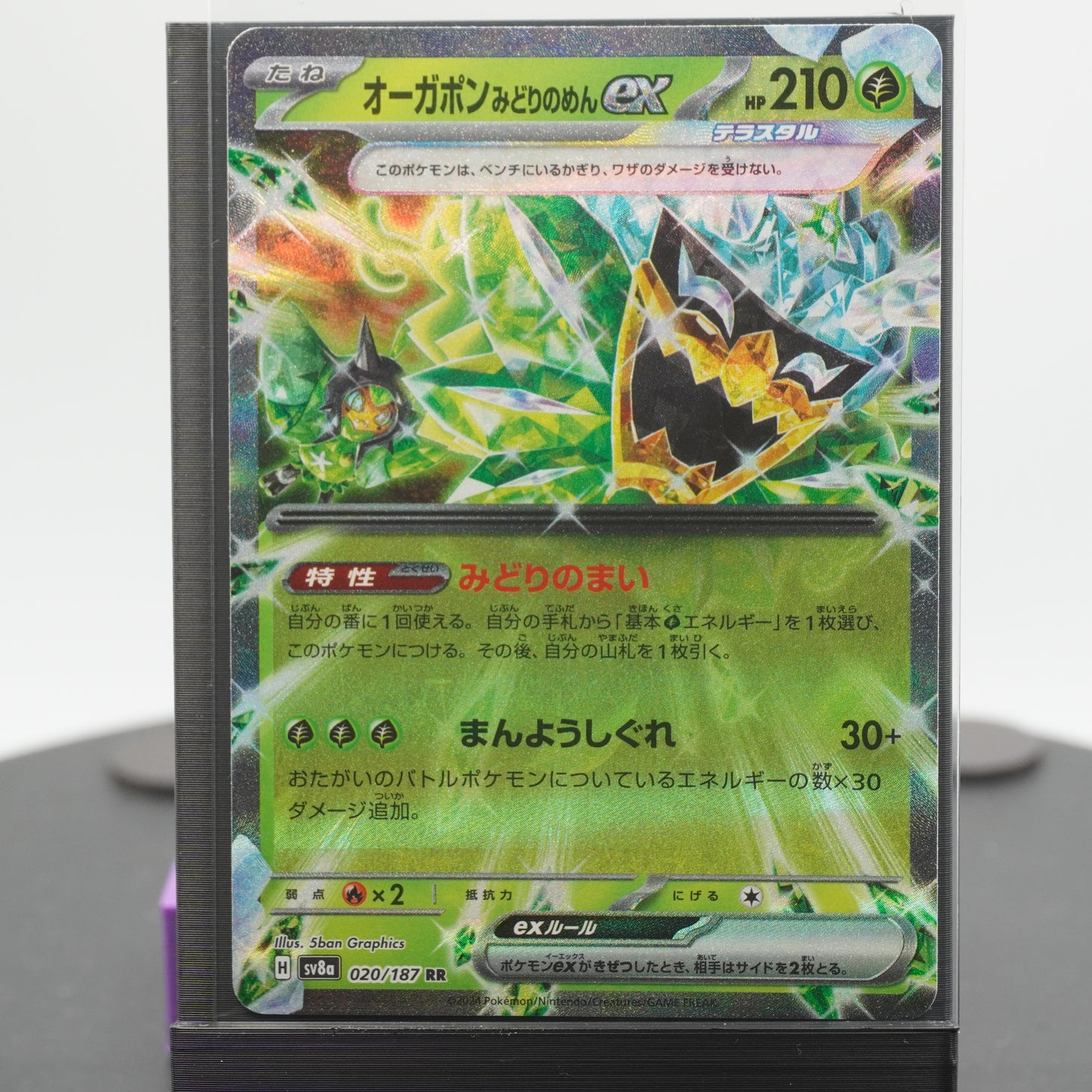 Teal Mask Ogerpon EX 020/187 SV8a Terastal Festival EX Pokemon Card TCG Japanese