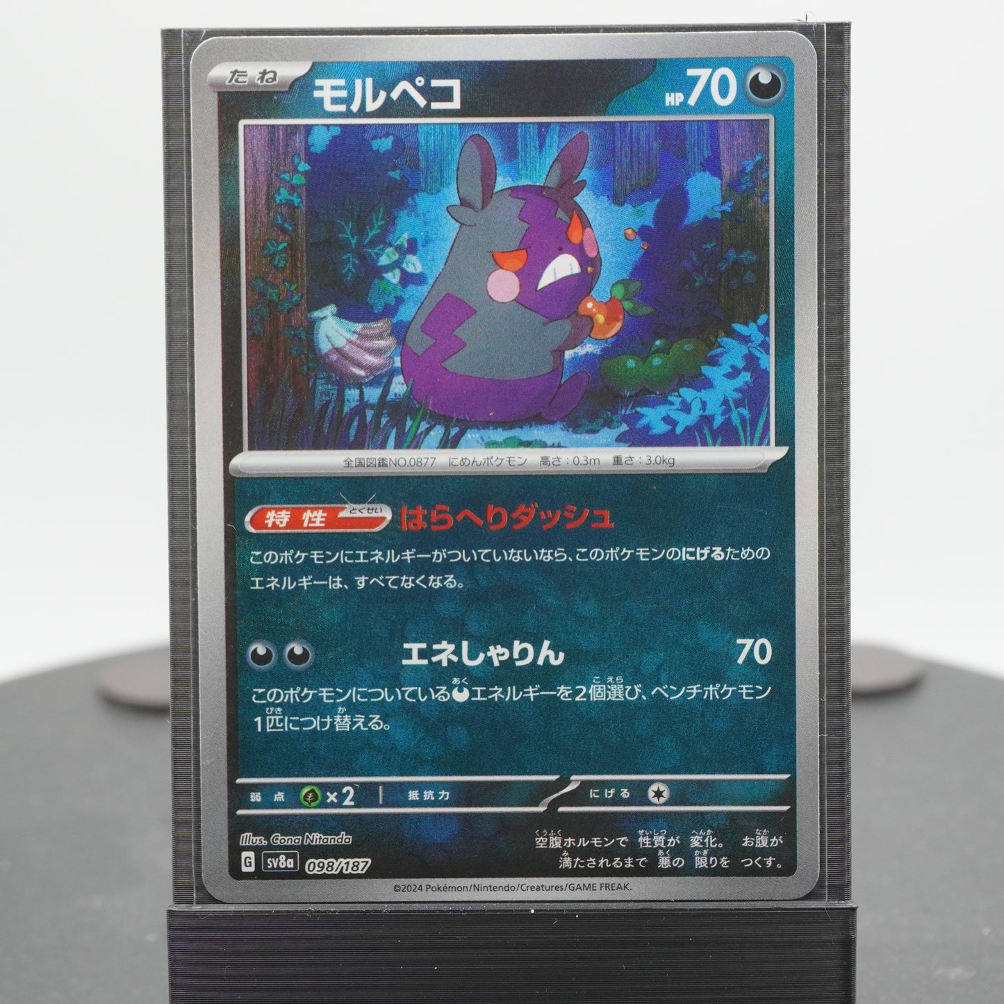 Morpeko Reverse Holo 098/187 SV8a Terastal Festival EX Pokemon Card TCG Japanese
