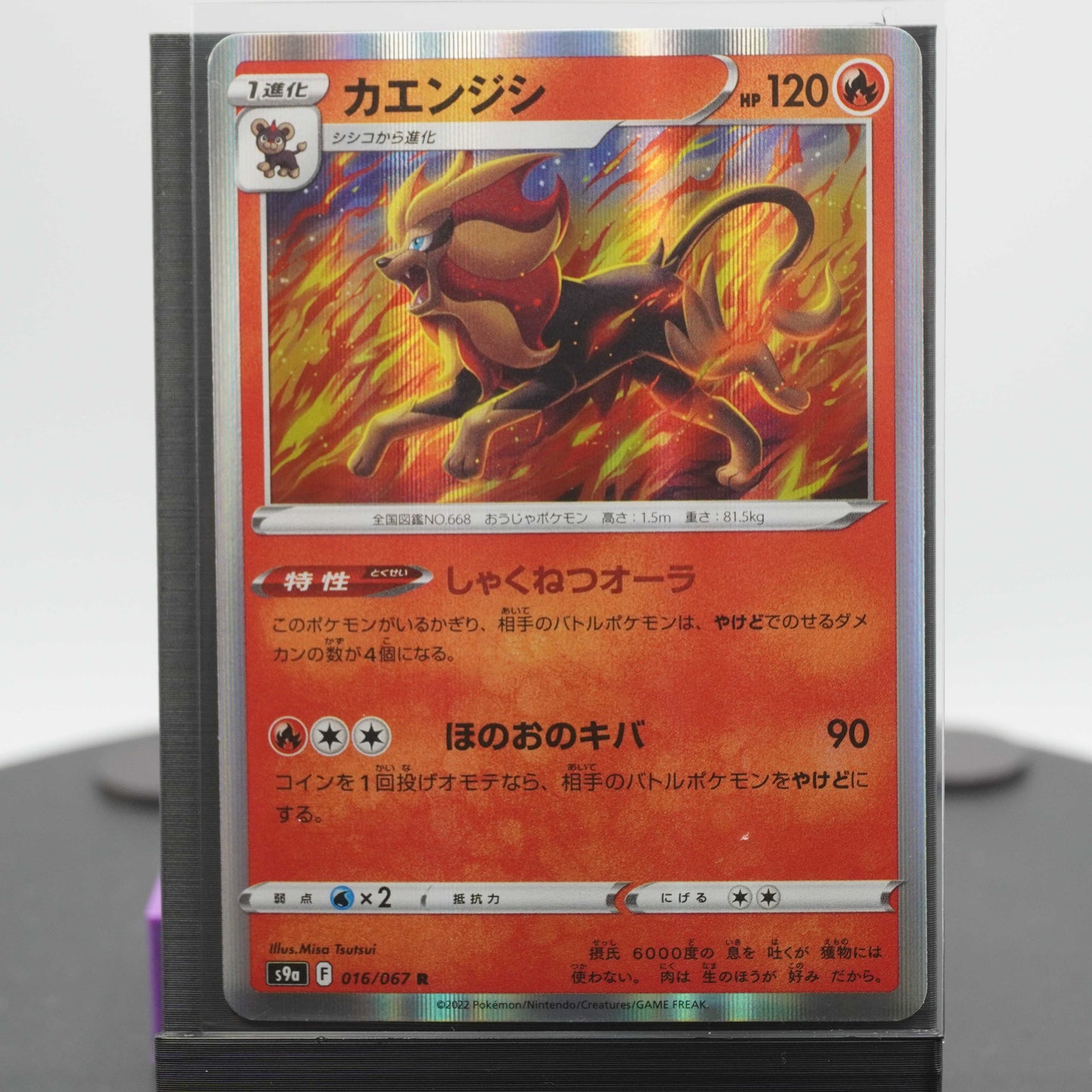 Pyroar Reverse Holo 016/067 S9a Battle Region Pokemon Card TCG Japanese