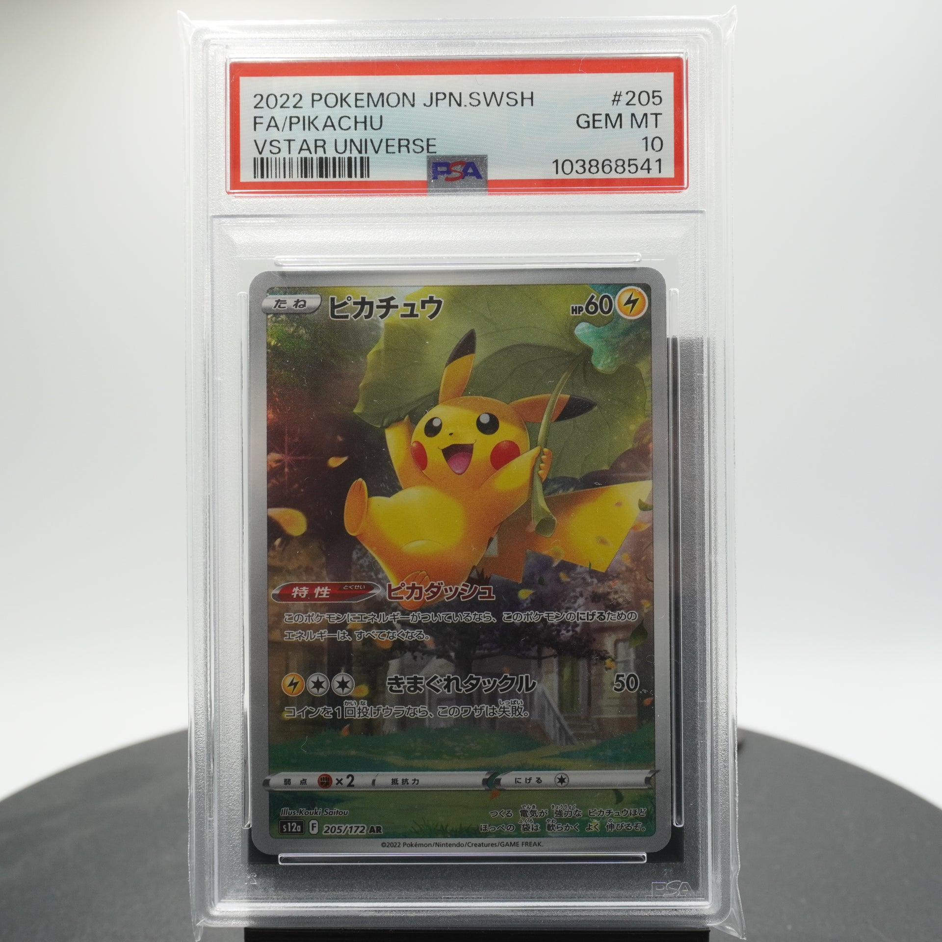 pokemon 10th anniversary cards PSA 10 Pikachu Alternate Full Art 205/172 AR S12a VSTAR Universe Pokem –  RetroSniper.com