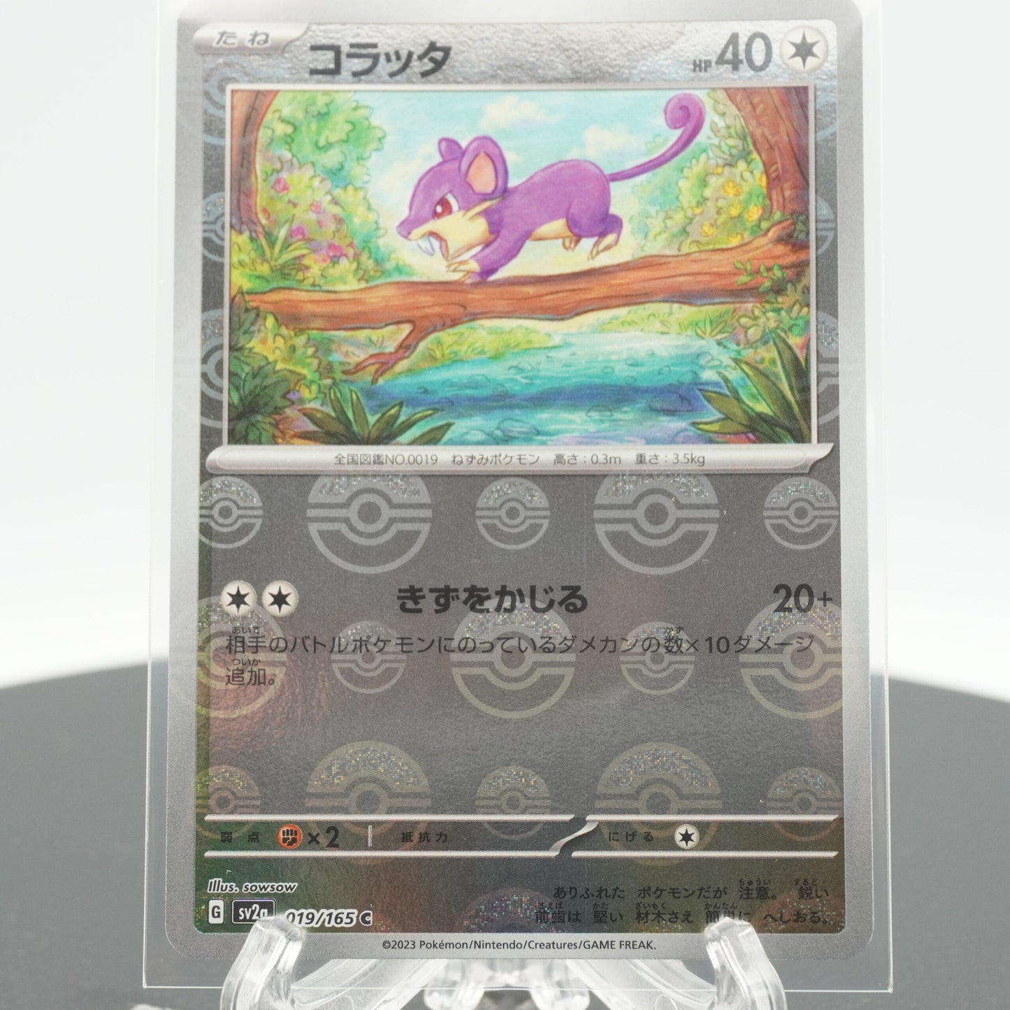 Rattata Reverse Holo C 019/165 SV2a 151 Pokemon Card Japanese