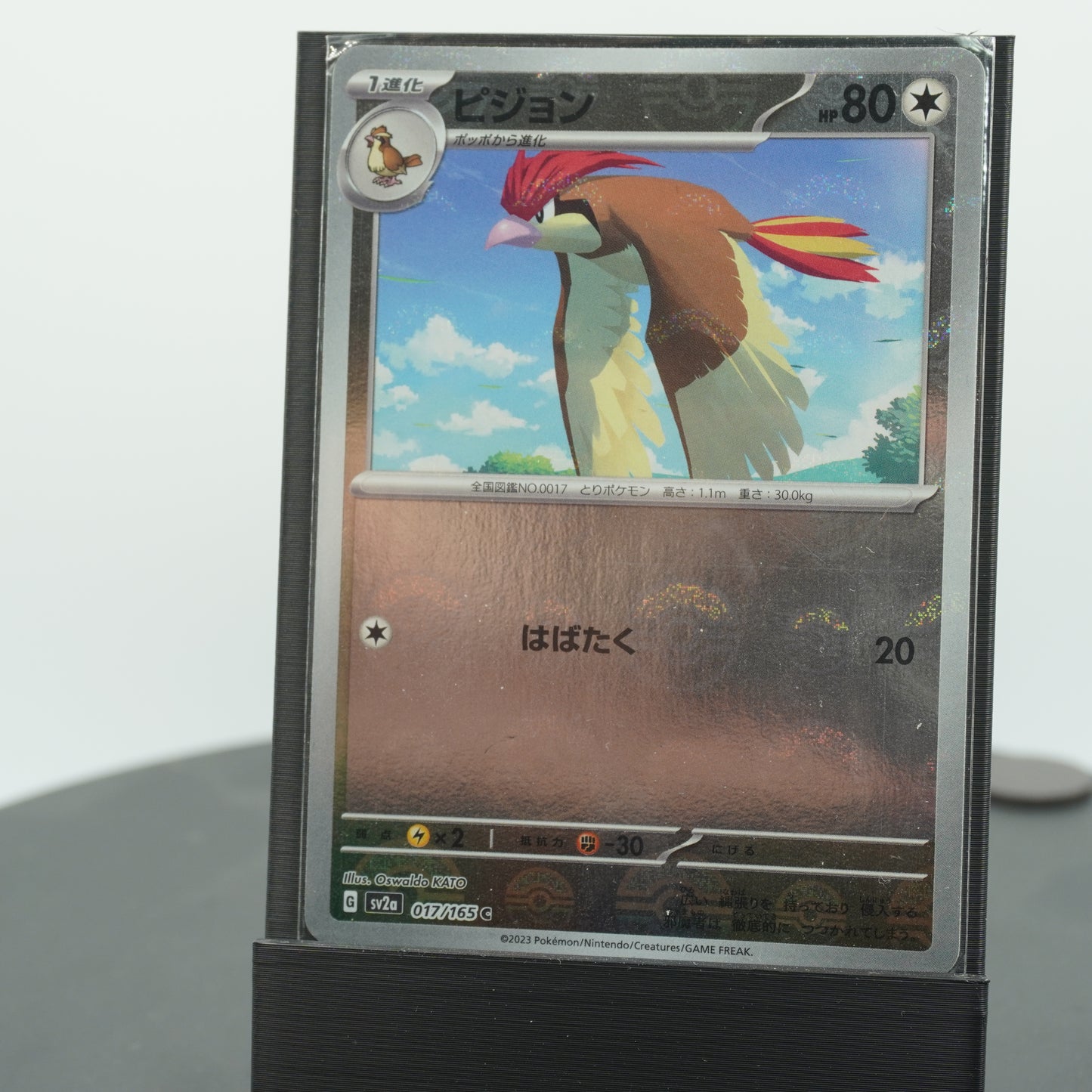 Pidgeotto Reverse Holo C 017/165 SV2a 151 Pokemon Card Japanese